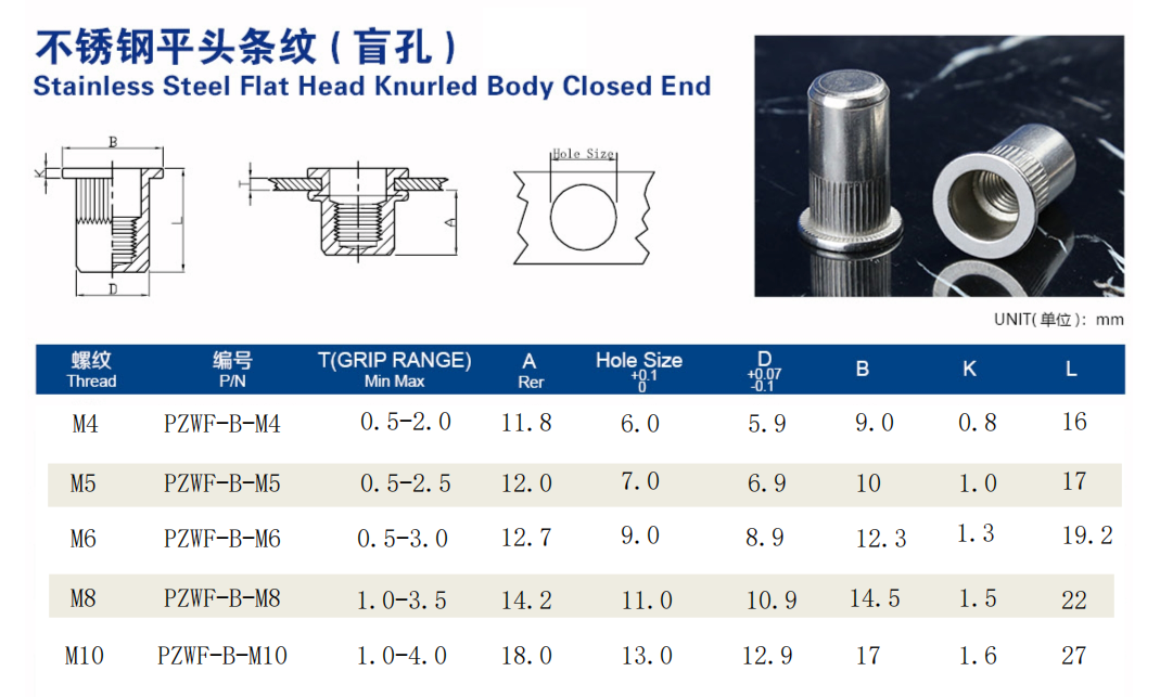 平頭柱紋盲孔鉚螺母